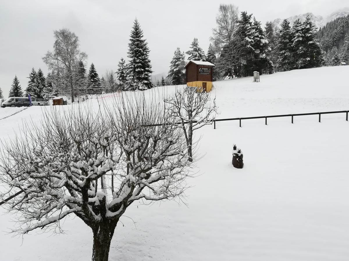 Romantic Chalet-Style Flat With Mountain View Torgon Exteriör bild